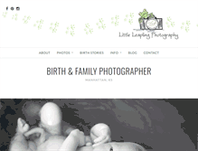 Tablet Screenshot of littleleapling.com